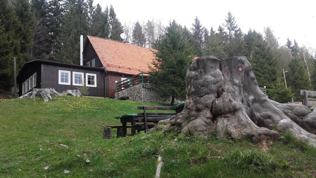 Bolfenk Apartment Hočko Pohorje Exteriör bild